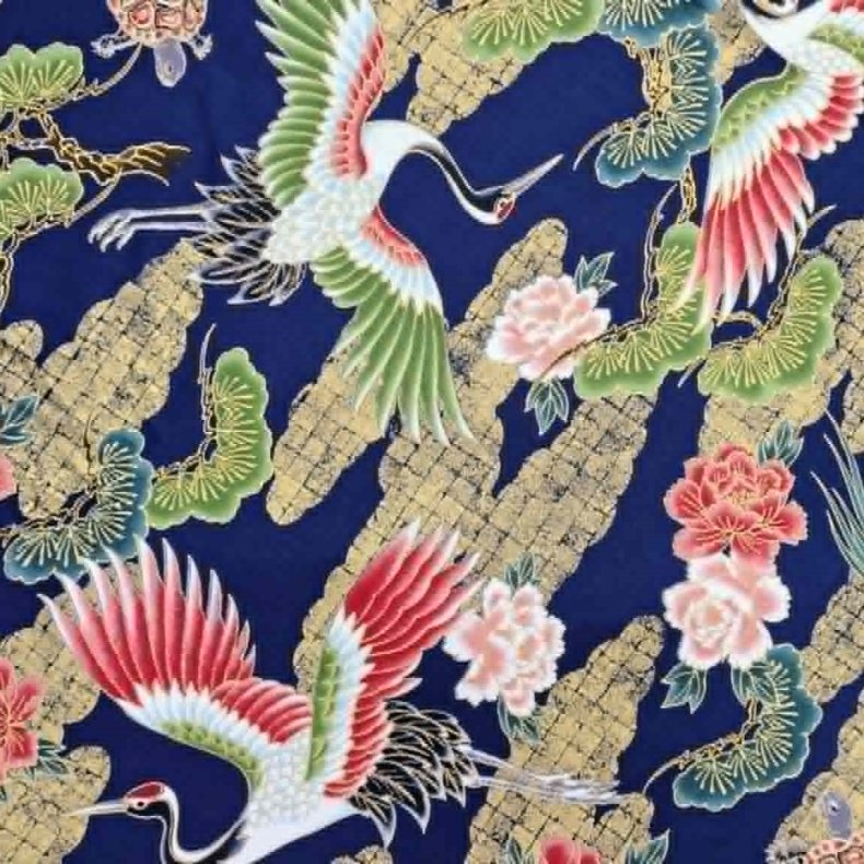 Japansk // Traner bl�