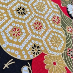 Japansk // Coupii Carry