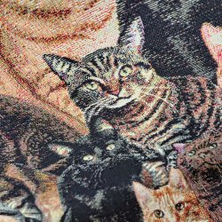 Gobelin // Kattene