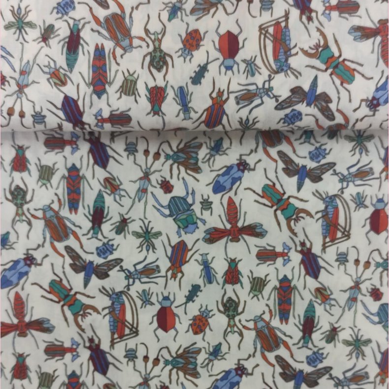 Billy Boy // Liberty 