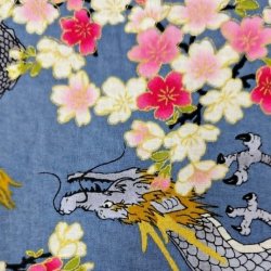Japansk // Drager bl�