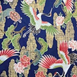Japansk // Traner bl�