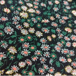 Mitsi Valeria Gren // Liberty - Tana Lawn