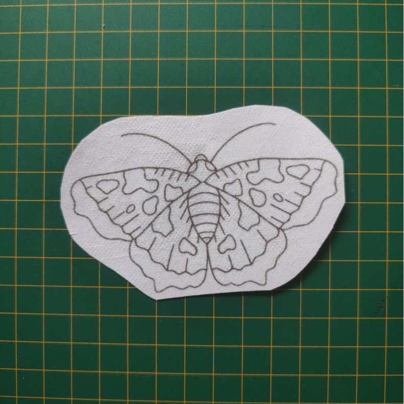 Broderi skabelon // Insekt Rigmor