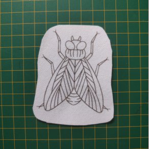 Broderi skabelon // Insekt Vagn