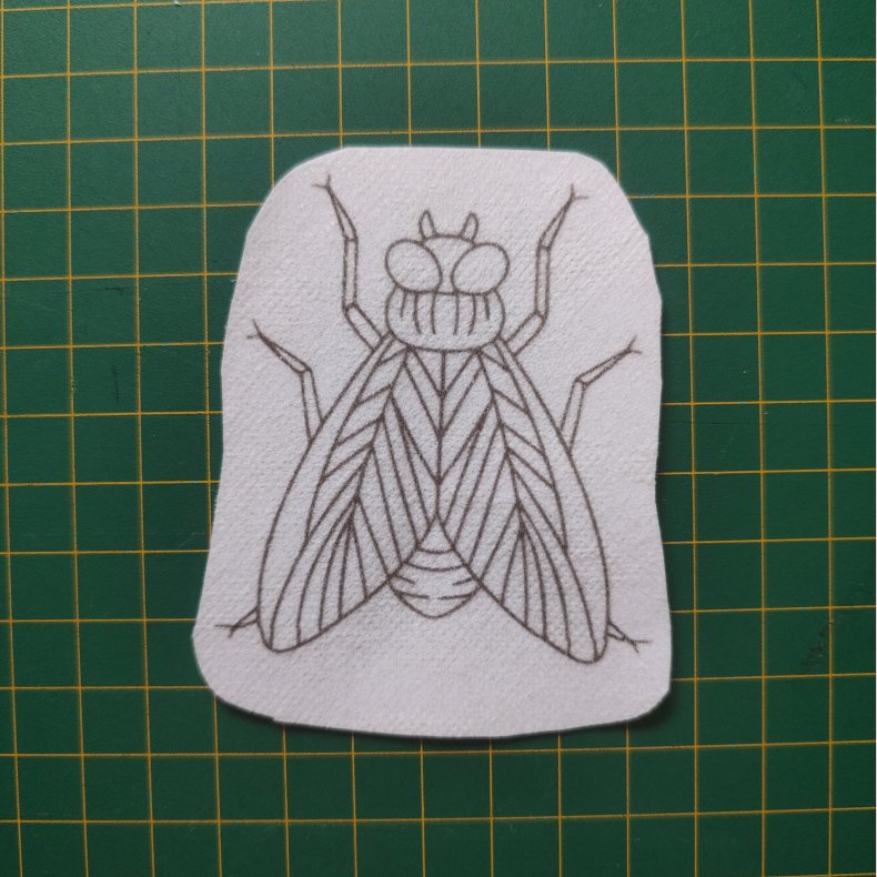 Broderi skabelon // Insekt Vagn