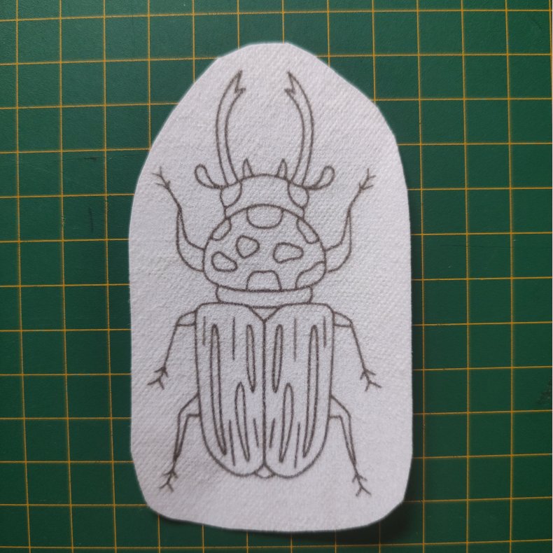 Broderi skabelon // Insekt Morgens