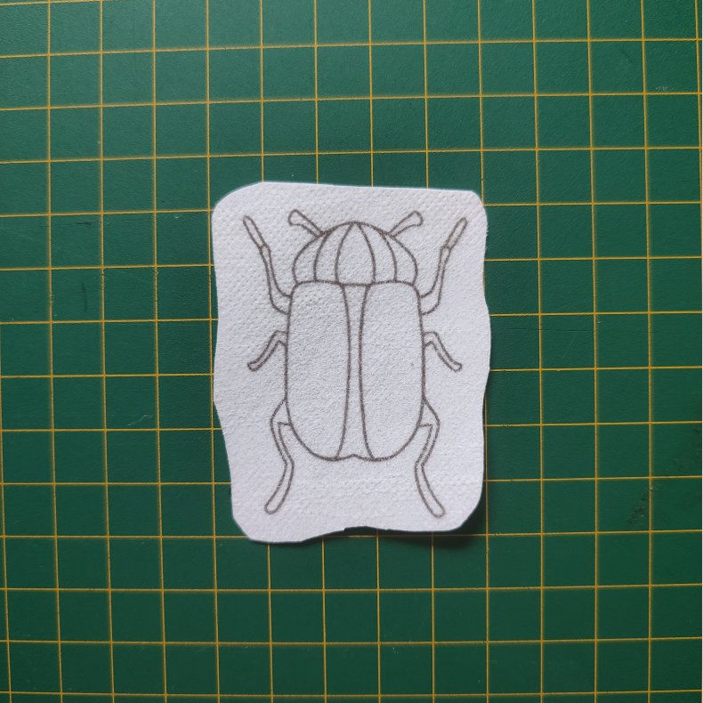 Broderi skabelon // Insekt Carl