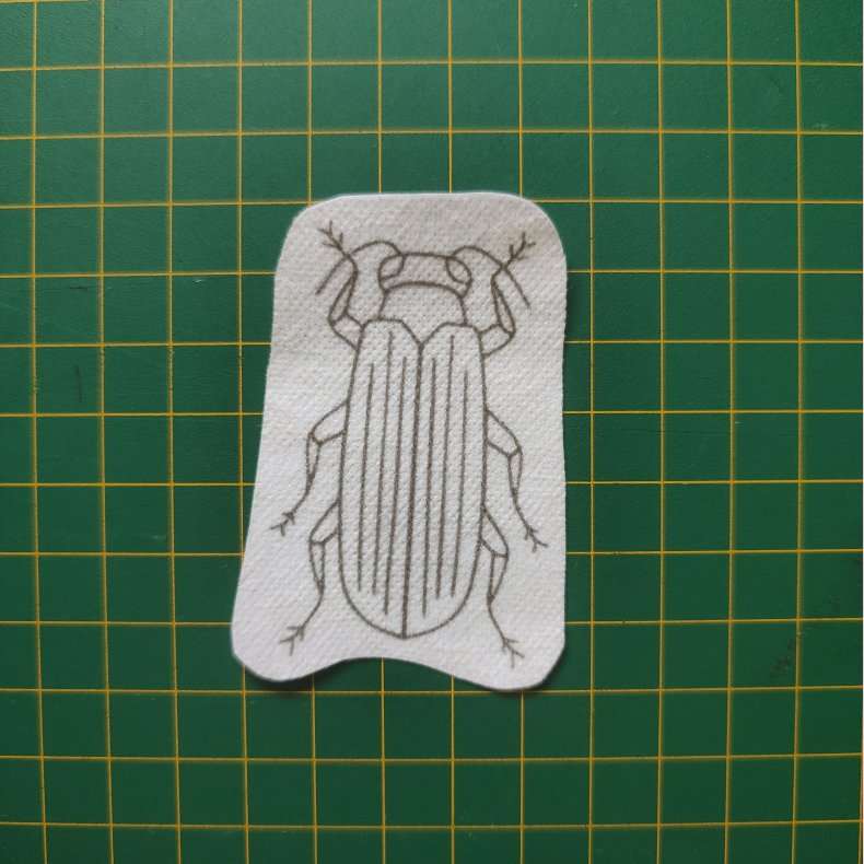 Broderi skabelon // Insekt  Franck