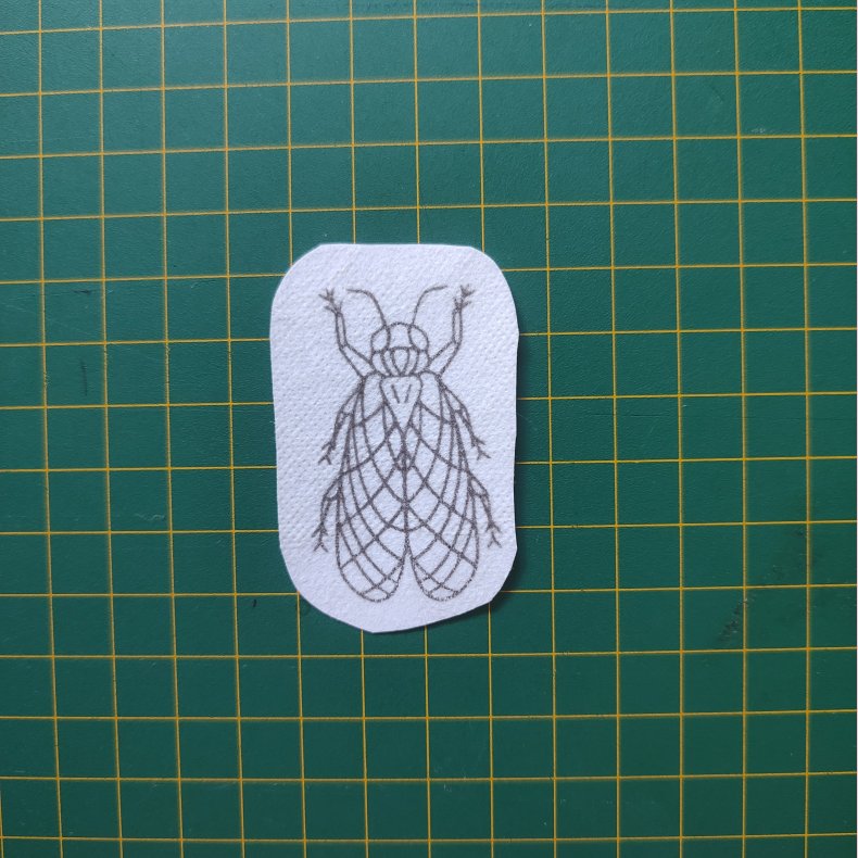 Broderi skabelon // Insekt Ida