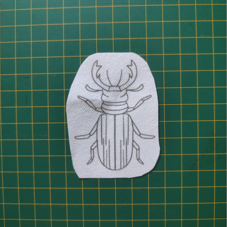 Broderi skabelon // Insekt Kalle