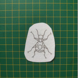 Broderi skabelon // Insekt Ricco