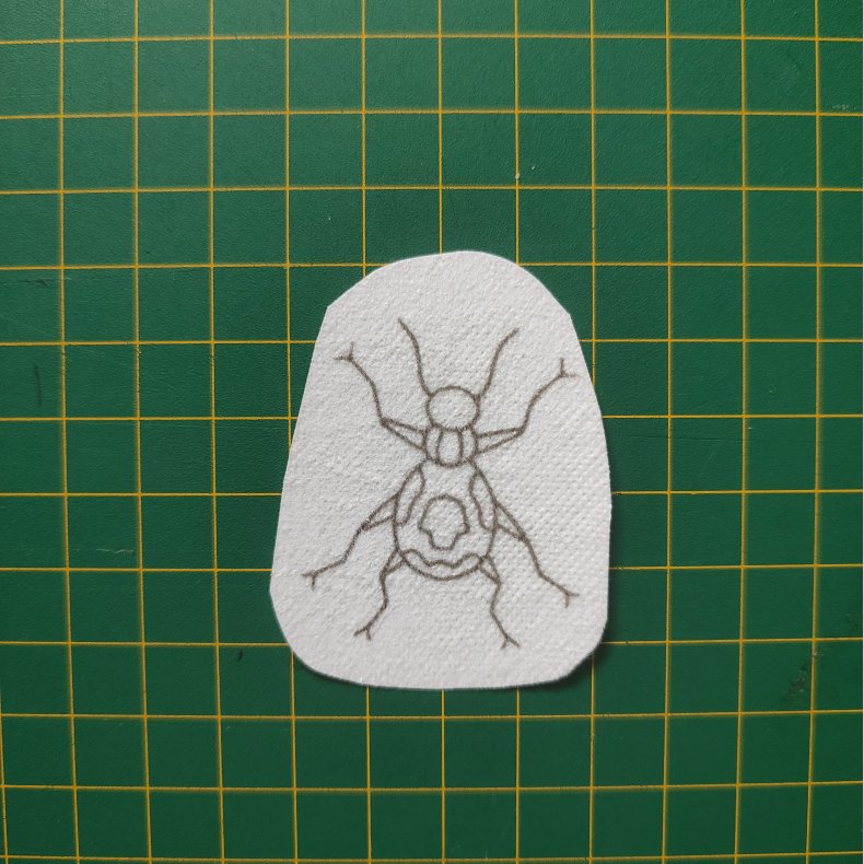 Broderi skabelon // Insekt Ricco