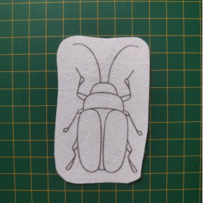 Broderi skabelon // Insekt Simon