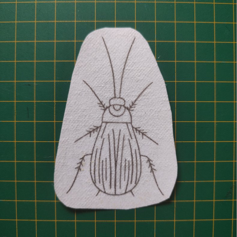 Broderi skabelon // Insekt Flemming