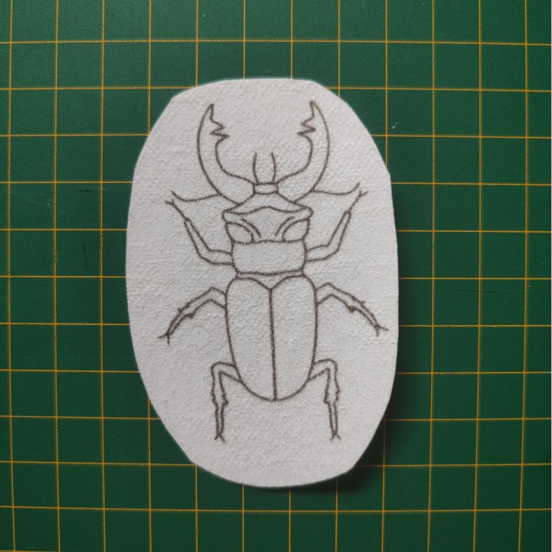 Broderi skabelon // Insekt Leo