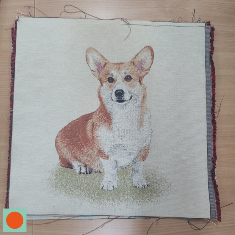 Gobelin // Hund