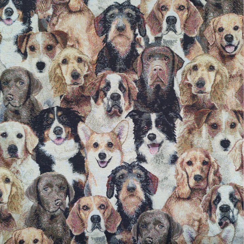 Gobelin // Dogs