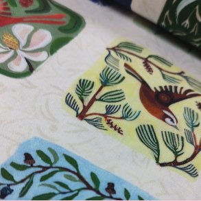 Adam Trest // Backyard Wonder