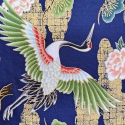 Japansk // Traner bl�