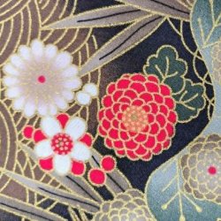 Japansk // Traner brun gr�n