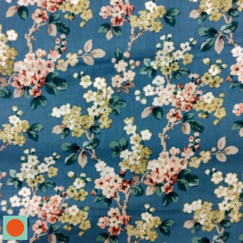 Poplin // Fiona Bl