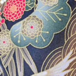Japansk // Traner brun gr�n