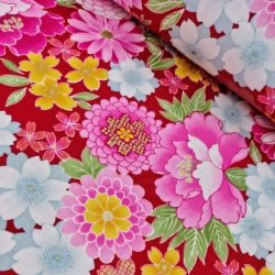 Japansk // Procolys R�d