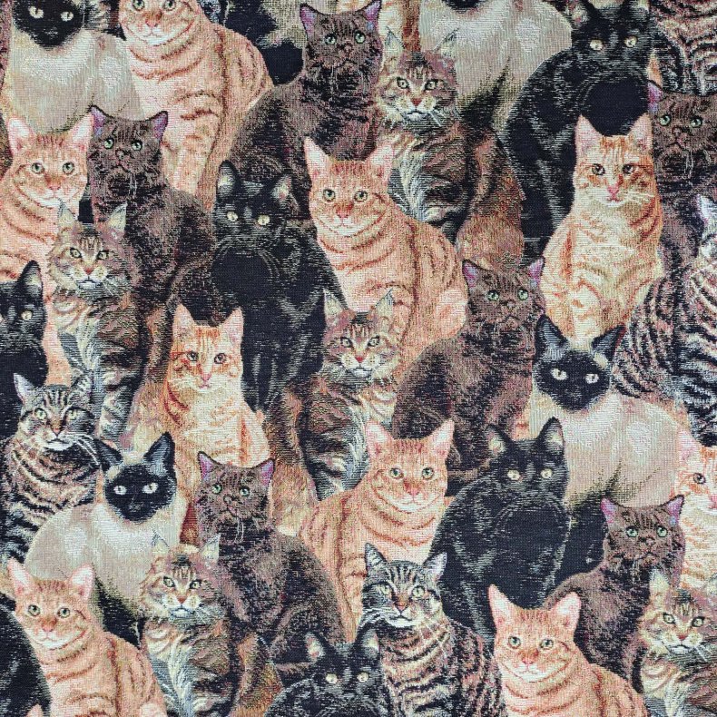 Gobelin // Kattene