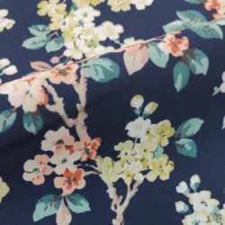 Poplin // Fiona Marine