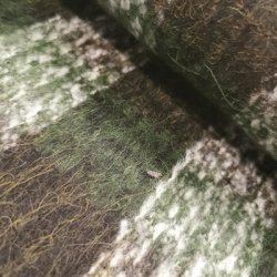 Jacquard Brokade 399,- Tern Stribet Brstet grn hvid